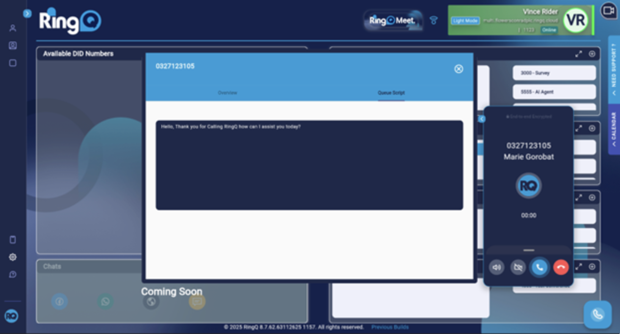 What are queue scripts in RingQ